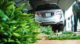 “Ngã ngửa” với cách sắm xe hơi của nông dân Việt
