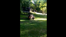 Video: Dùng xe SUV nhổ gốc cây và cái kết bất ngờ