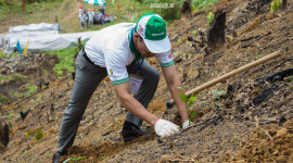 Honda Việt Nam tổ chức &ldquo;ng&agrave;y hội trồng rừng 2016&rdquo;