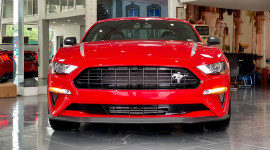 Ford Mustang High Performance 2020 đầu tiên về Việt Nam