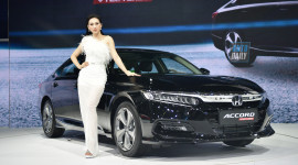 Honda Accord v&agrave; City &lsquo;bội thu&rsquo; giải thưởng an to&agrave;n của ASEAN NCAP