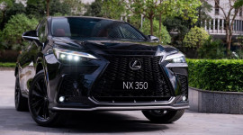 Lexus NX 2022 chính thức ra mắt tại Việt Nam, giá từ 3,01 tỷ đồng