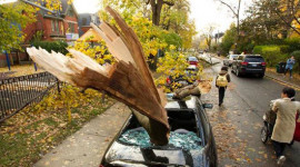 Xe hơi bị phá nát, nhấn chìm bởi siêu bão Sandy