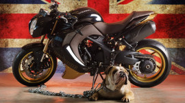 "Hô biến" Triumph Speed Triple thành Bulldog