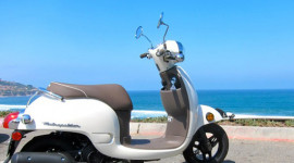 Honda giới thiệu mẫu scooter 50cc giá 40 triệu đồng