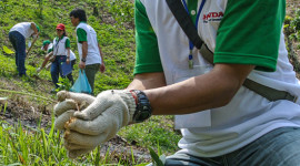 Honda Việt Nam khởi động dự án Trồng rừng tại Bắc Kạn